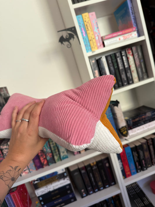 Coussin de Lecture - Velours personnalisé